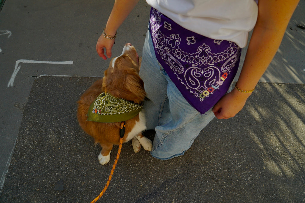 Bandana Kaki